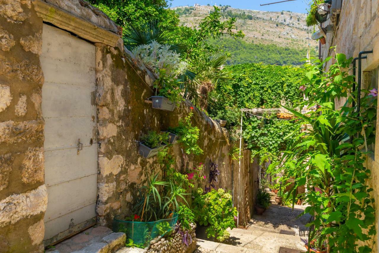 Old Town House With Floor Heating & Lush Private Garden Villa Dubrovnik Buitenkant foto