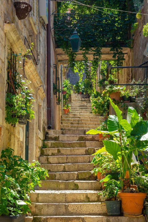 Old Town House With Floor Heating & Lush Private Garden Villa Dubrovnik Buitenkant foto