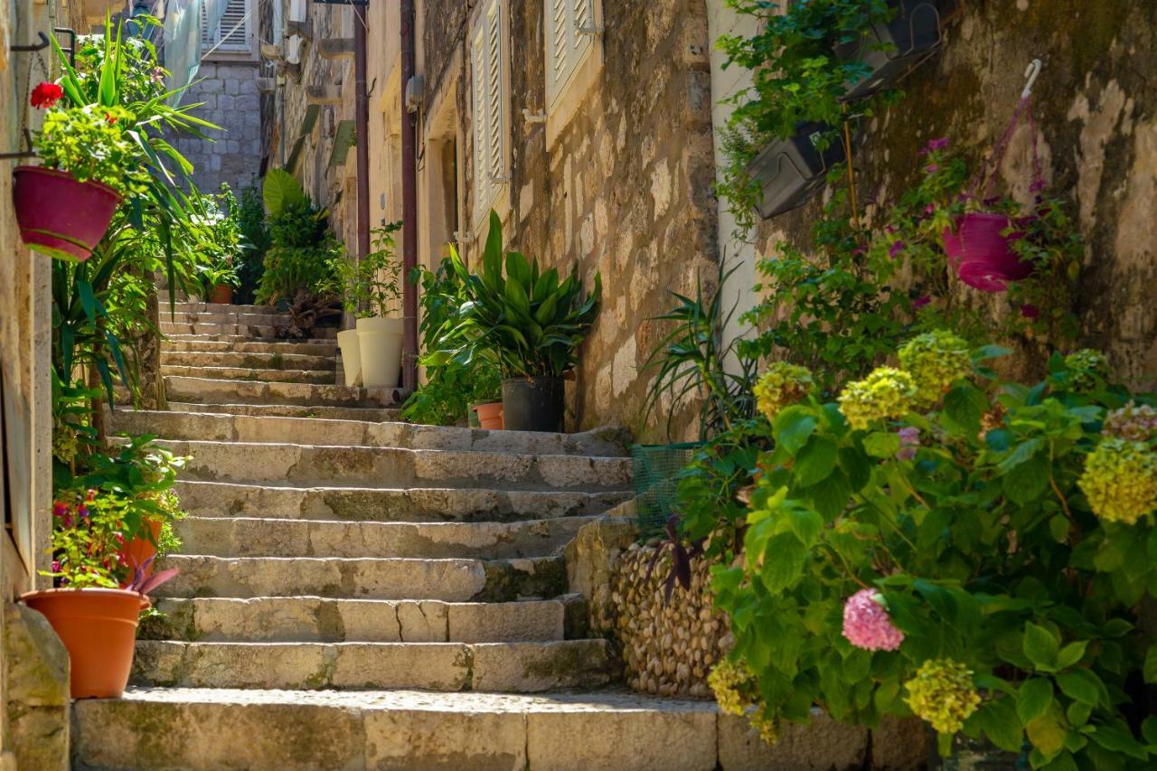 Old Town House With Floor Heating & Lush Private Garden Villa Dubrovnik Buitenkant foto